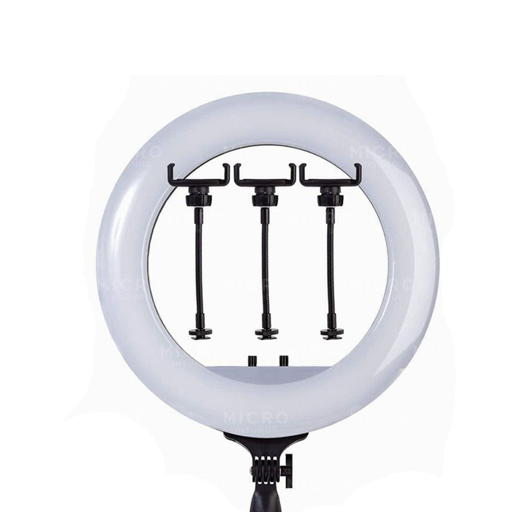 Aro de Luz Led 21 Pulgadas