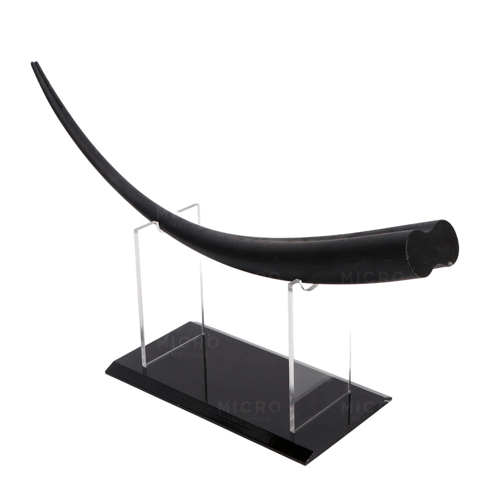 Modelo Pestaña 3D